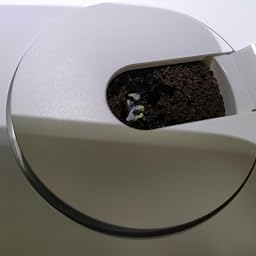 Emsa Click & Grow Smart Garden 9 unidades M52619, Semillas Smart ...