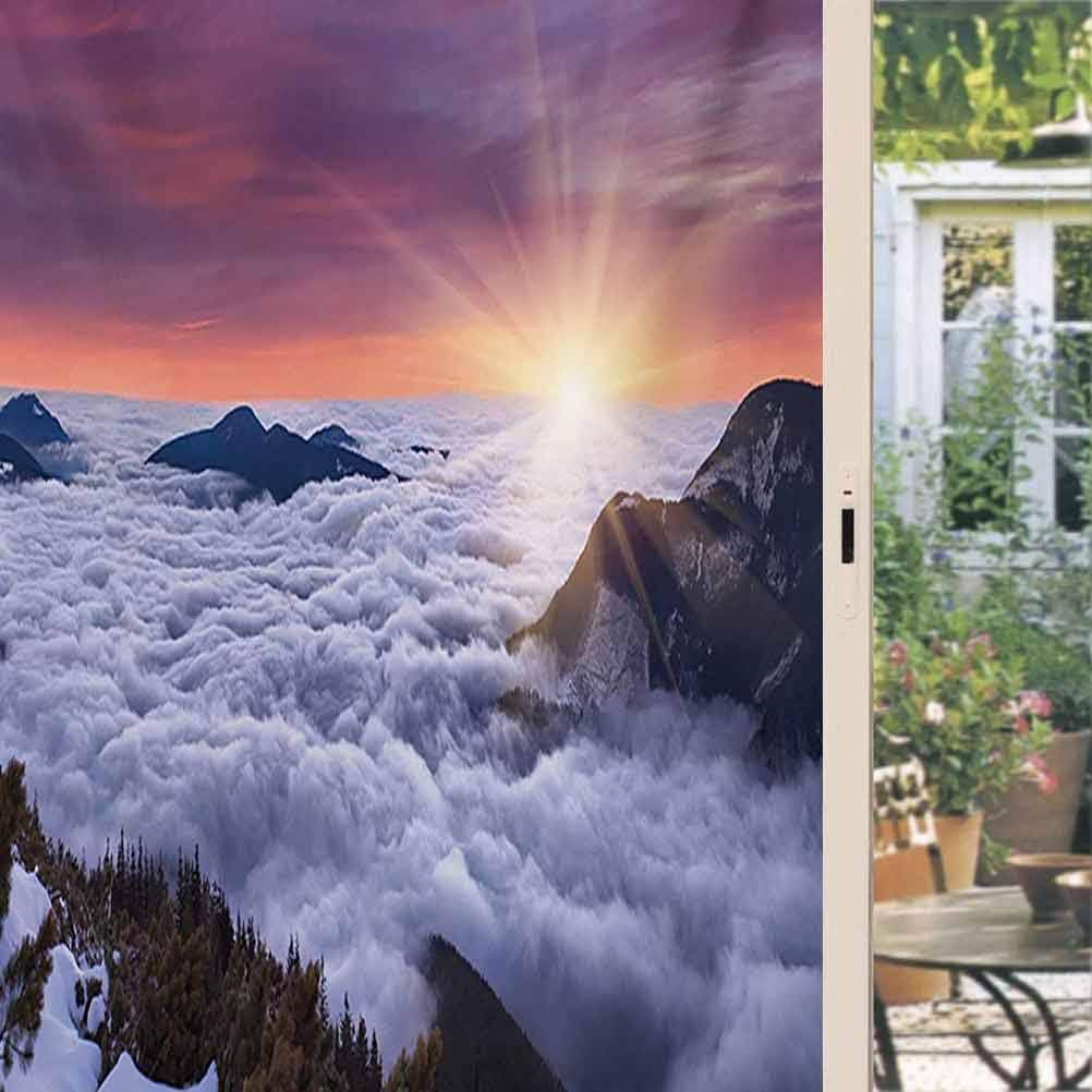 Nature Privacy Window Film Winter Landscape in The