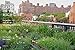 Gardens of the High Line: Elevating the Nature of Modern Landscapes