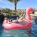 GoFloats Giant Inflatable Flamingo | Includes Bonus Flamingo Drink Float | New for 2018