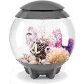 biOrb Halo 15 Acrylic 4-Gallon Aquarium with Multi-Color Remote-Controlled LED Lights Modern Compact Tank for Tabletop or Desktop Display, Gray