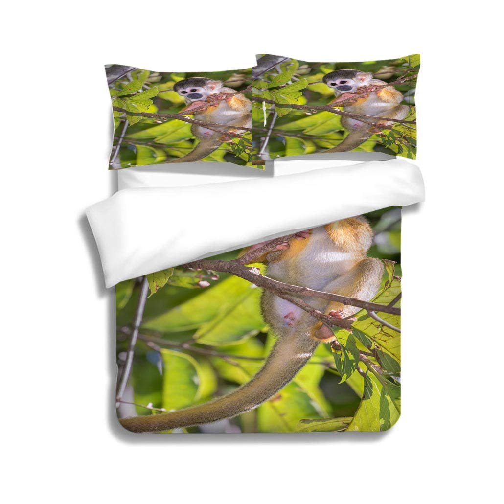 Best Amish Canopy Bedding