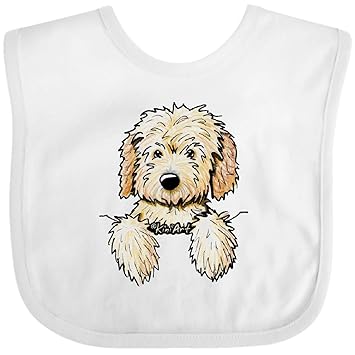 pocket goldendoodle
