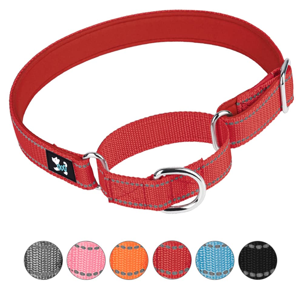 haoyueer Adjustable Martingale Safety Training Dog Collars, Soft Neoprene Padded Breathable Nylon Pet Collar for Small Medium Large Dogs (L, Red)