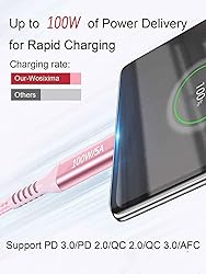 100W USB-C to USB-C Long Charging Cable 10FT,Type-C
