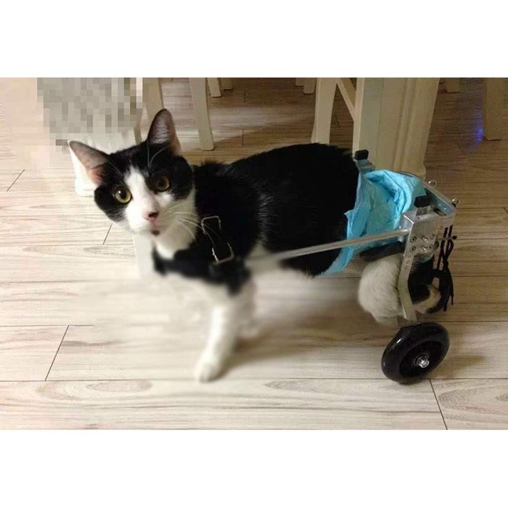 犬用車椅子 B07pp1r3gd Xs ホイール犬車椅子 Xs 後脚用車椅子 Xs Xs 獣医承認済み さいず サイズ Kg 小型犬用25 犬用歩行器 ペット 猫用犬車椅子後肢リハビリテーション障害のある犬用 2輪 犬用アジリティ運動器具 半額sale