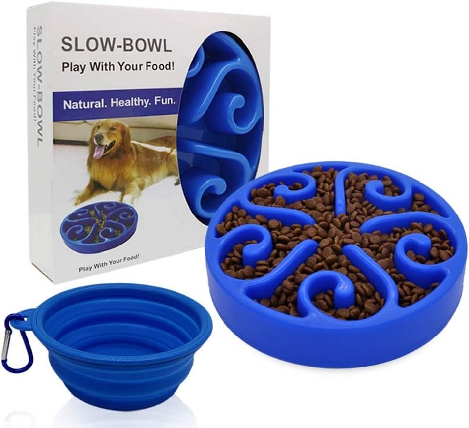 dog bowl with maze