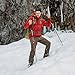 Tri-Fold Carbon Cork Trekking Poles/Sticks - Folding, Collapsible, Adjustable, and Ultralight - Perfect for Hiking, Walking, Backpacking and Snowshoeing (100-120 cm) Red