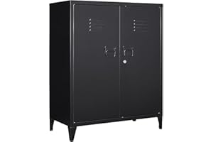 MIIIKO Metal Locker with 2 Doors, Metal Storage Sideboard Accent Cabinets for Kitchen, Pantry, Home Office and Garage