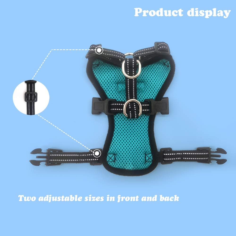 Amogato harness Clearance