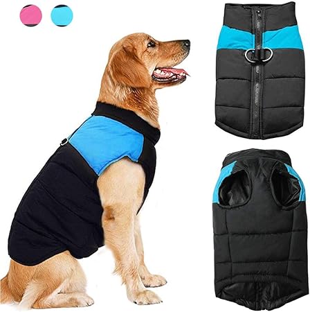 dog snowsuit uk