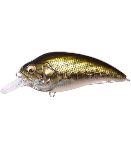 Megページ Amazon.com : Megabass Super-Z Z-2 Deep Diving Crankbait - GG