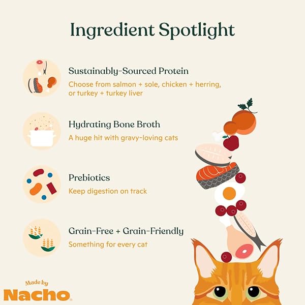 MADE BY NACHO PREMIUM MINCED WET CANNED CAT FOOD WITH HYDRATING BONE BROTH 5.5OZ (12 PACKS) (VARIETY PACK (TURKEY & TURKEY LIVER, CHICKEN & HERRING, AND SALMON & SOLE))