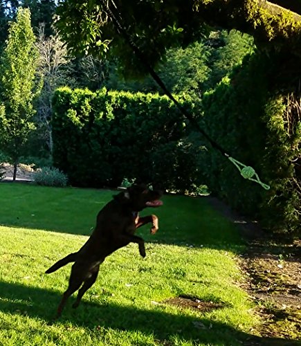 Tumbo Tugger Outdoor Hanging Doggie Bungee Rope Toy, Large