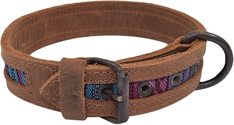 mayan dog collar