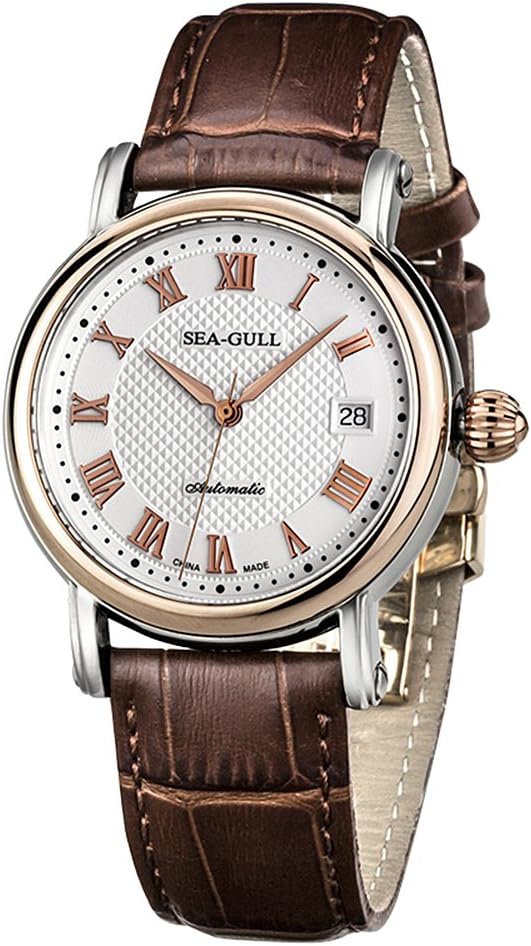 Litianchuang Seagull 219.365 Automatic Mechanical Men's Watch Self Winding