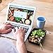 Snap Pak 12010 Storage Containers 28 oz. Clear Lid/Black Base BPA Free, Microwave, Freezer & Dishwasher Safe Air Tight Seal, Very Durable Keeps Food F
