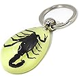HQRP-Crystal 45mm Real Black Scorpion in Glow in The Dark Lucite Keychain Insect Animal Taxidermy Sample Inside for Biology Science Education Decoration Tear Drop Key Ring Chain Pendant