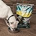 Earthborn Holistic Coastal Catch Grain-Free Dry Dog Food