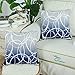 CaliTime Pack of 2 Soft Canvas Throw Pillow Covers Cases for Couch Sofa Home Decor Modern Gradient Ombre Circles Rings Both Sides 18 X 18 Inches Gray to Navy Blue