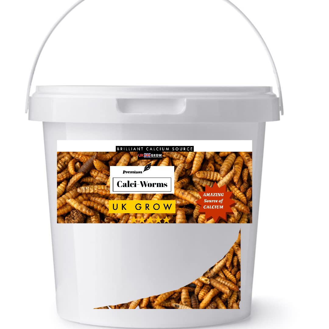 UK GROW Premium- 2L - Bucket of Calci worms Black soldier fly lave Similar to Dried Mealworm (2L)