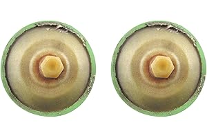 2Pcs Power Rave Valve Piston 420854449 290854445 Compatible with SeaDoo Engine XP SPX GTX GSX RX LRV RFI 1995-2003 Compatible