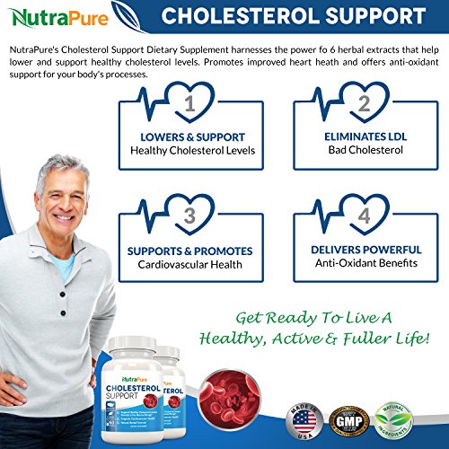Best Cholesterol Lowering Supplement All Natural Cholesterol Support