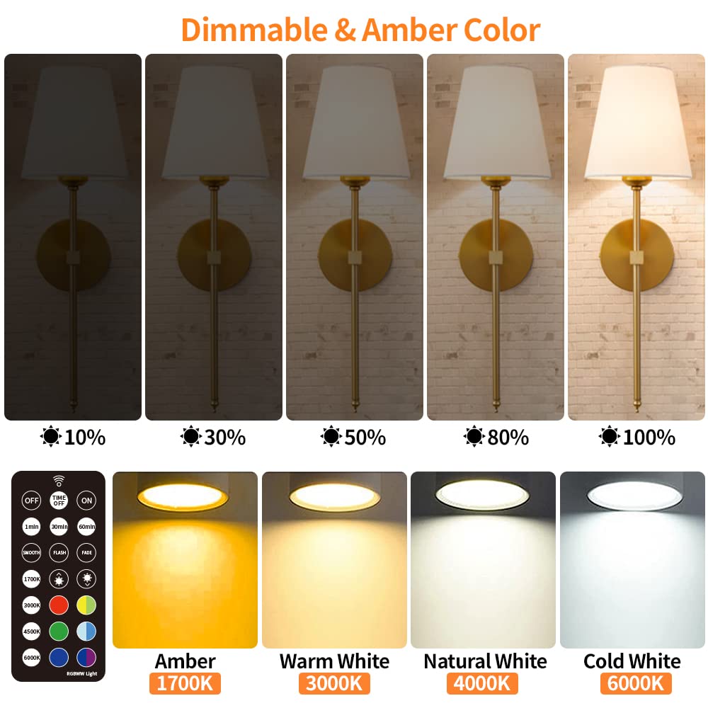BLUEYE Rechargeable Battery Operated Light Bulb,2Packs,300LM,40W Equivalent,E26 Detachable Charging(E12 available),4 Color Temperature,Remote Control Puck Emergency Lamp,Timer,Dimmer,For Non-Hardwired