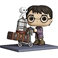 Funko Pop! Harry Potter with Hogwarts Letters Exclusive 136