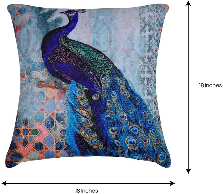 Decozen Decorative Throw Pillow with Insert 18"x18" inches in 1 Set Peacock Print Embellished for Couch Sofa Bed Living Room Bedroom Farmhouse Patio: Home & Kitchen