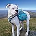 Kurgo Big Baxter Dog Backpack, Dog Saddlebag Pack for Pets, Adjustable Saddlebag for Hiking, Walking, Running, Camping, Coastal Blue