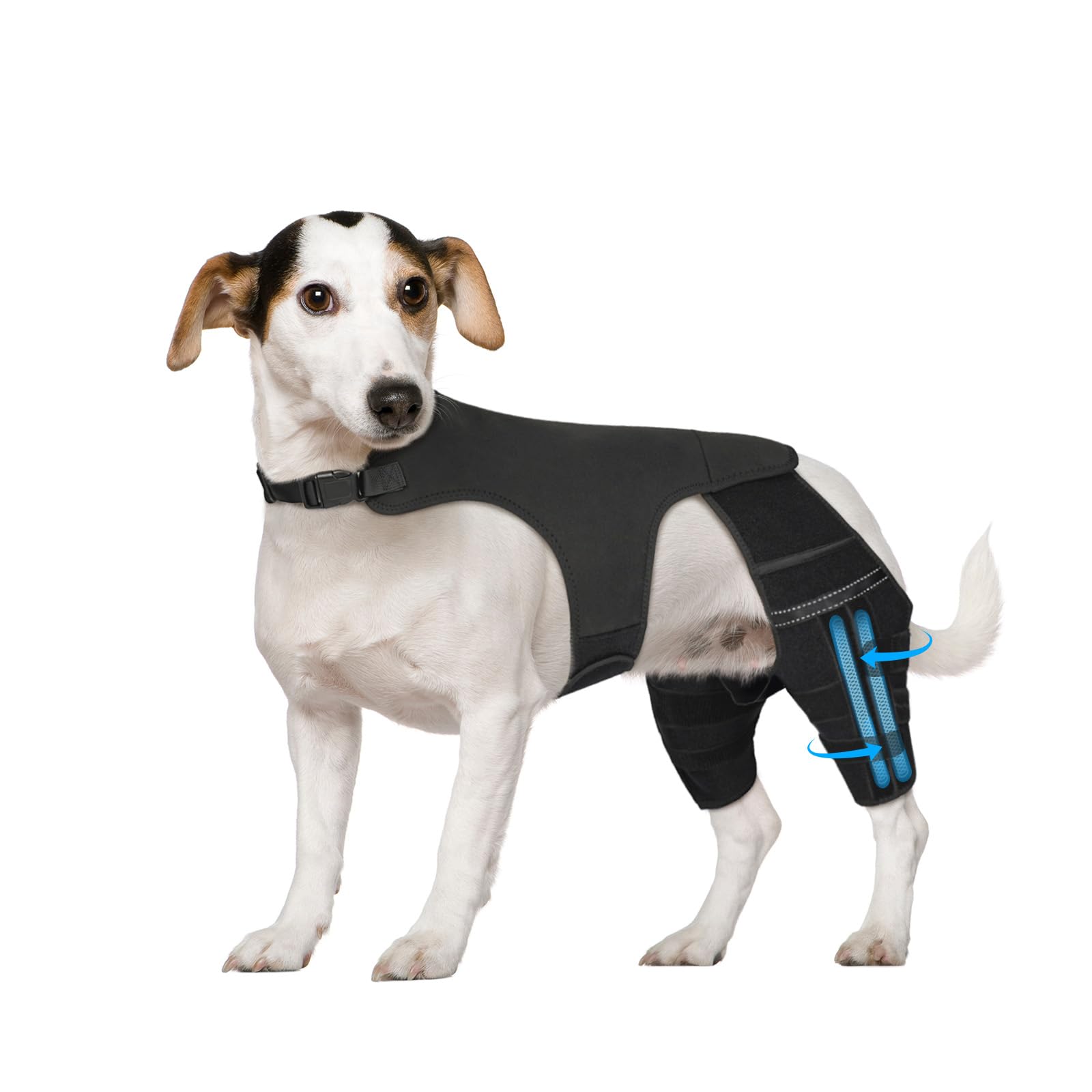 Photo 1 of Marnonsis Upgrade Dog Leg Braces for Back Leg, Adjustable Dog Knee Brace for Torn Acl Hind Leg with 4 Stabilizers, Hip Support to Reduces Pain, Injuries & Luxating Patella for Small Medium Large Dogs