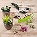 Auihiay 36 Pack Large Plastic Insect Figures Assorted Insect Bugs Includes Multicolored Lifelike Butterfly for Children Education, Insect Themed Party
