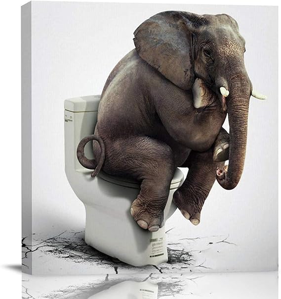 Amazon.com: Chucoco pinturas al óleo sobre lienzo divertido elefante