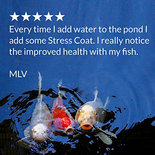 6 API+STRESS+Conditioner+32+Ounce+Bottle