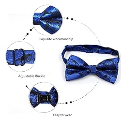 Alizeal Mens Paisley Bow Tie, Pocket