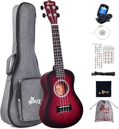 Winzz Ukulele Concert 23 Inch Red Beginner Set for Adults Children