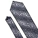 Barry.Wang Black and Grey Tie Set Silk Neckties Formal
