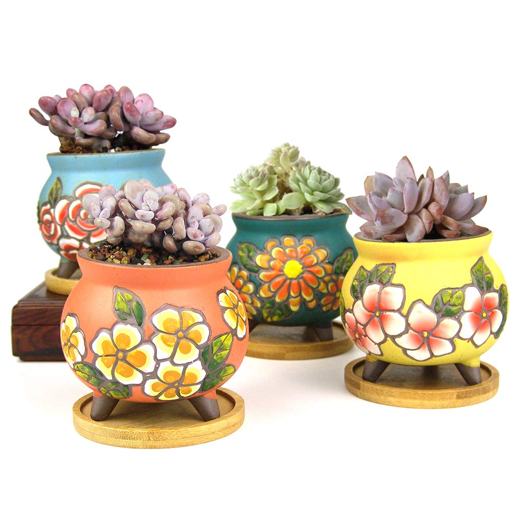 Summer Impressions 7 cm Hand Painted Square Succulent Planter Cactus Planter Pot Bonsai Pot Clay Pot Flower Pot Floral Design with Bamboo Trays Pack of 4