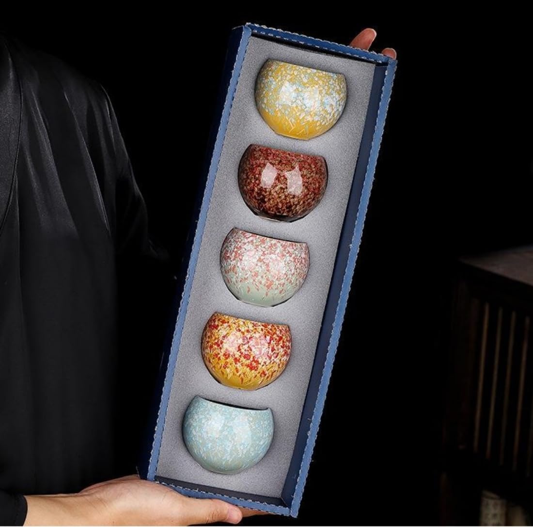 HGDESIGN Ceramic Tea Cups Set Porcelain Espresso Cup Coffee Cups Retro Tea Mug Chinese Japanese Kung Fu Tea Heat Sake Mug Set of 5 Gifts (Set of 5)