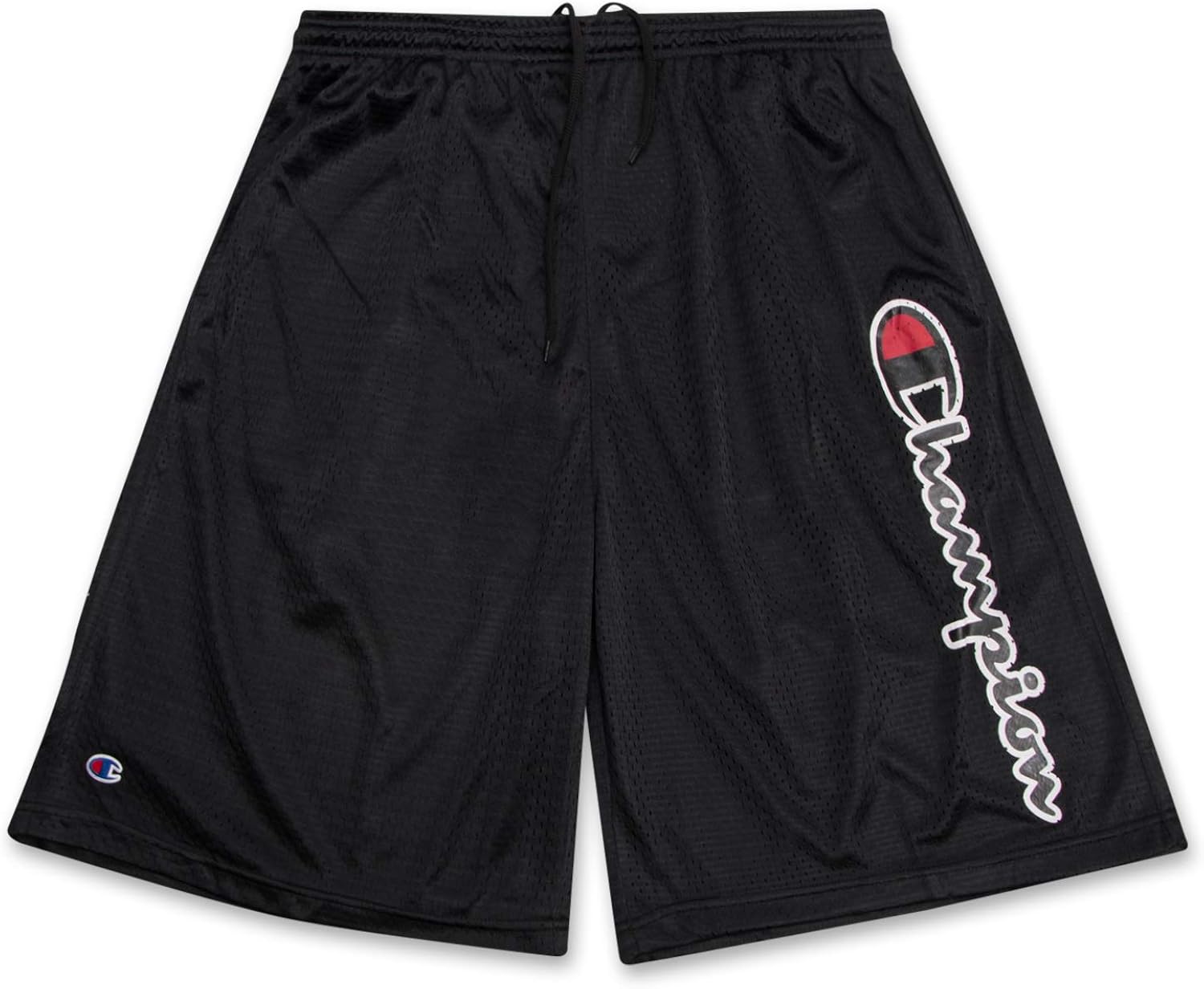 Champion Big and Tall Mens Gym Shorts