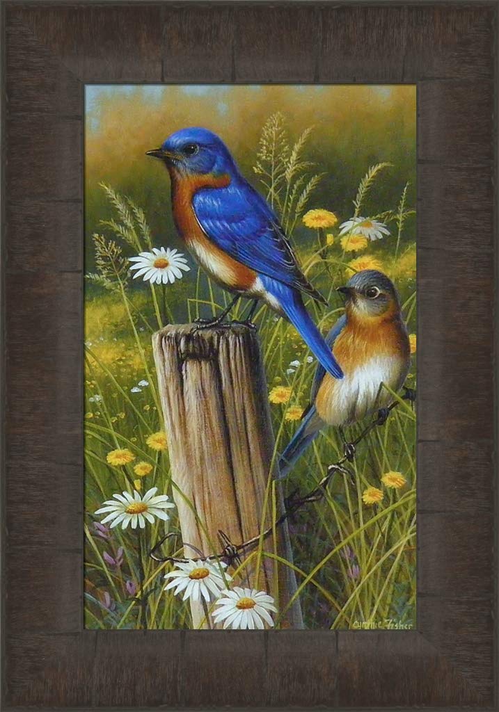 Which Is The Best Home Cabin Decor Framed Bird Art