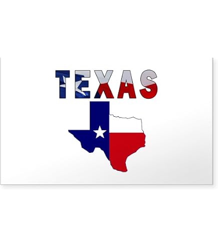 Texas Flag Chrome Auto Emblem – 3.25 X 3.25 Inch – Tx Shape With State Colors
