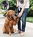 AMZNOVA Dog Treat Bag, Puppy Training Pouch Pet Small Dog Bait Holder, Animal Walking Snack Container Best Hiking Toys Pack Dispenser Carries, Black