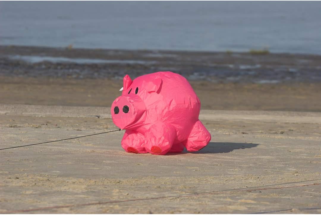 HQ Design, Bouncing Buddy Porky, Floor Wind Chime, Weatherproof, Decorative for Beach Garden, Camping, Robust and Durable - Image 5