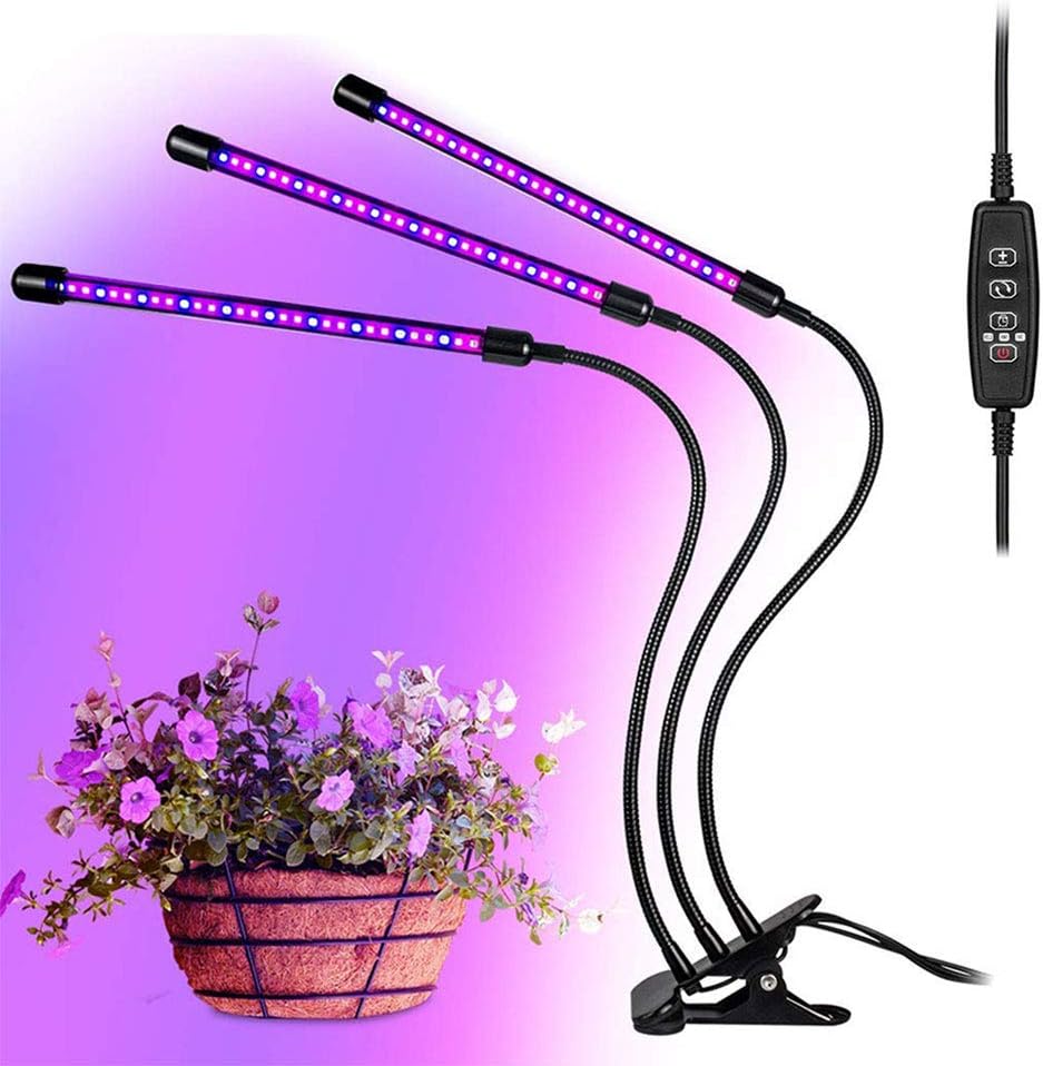 luci per la coltivazione di orchidee