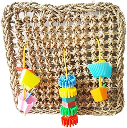 Difunisea Creations Sneaker Craft Bird Cage - 3 Mini Parrot Toys for Dog,Cat,Pet Cockatiel,African Grey,Cockatoo…