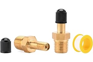 Luckyweld Schrader Valve, 2Pcs Brass Tank Valve with 1/4''NPT Male Threads Gold