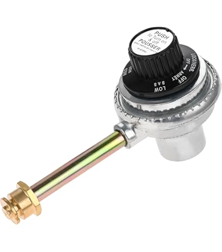 Weber 67178 Go Anywhere Valve With Regulator -28818$A