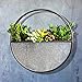 Drift Bliss Rustic Galvanized Succulent Wall Planter with a Natural Handmade Industrial Look & Waterproof Lining. Modern Farmhouse Style and Vintage Indoor and Outdoor Wall Decorthumb 1